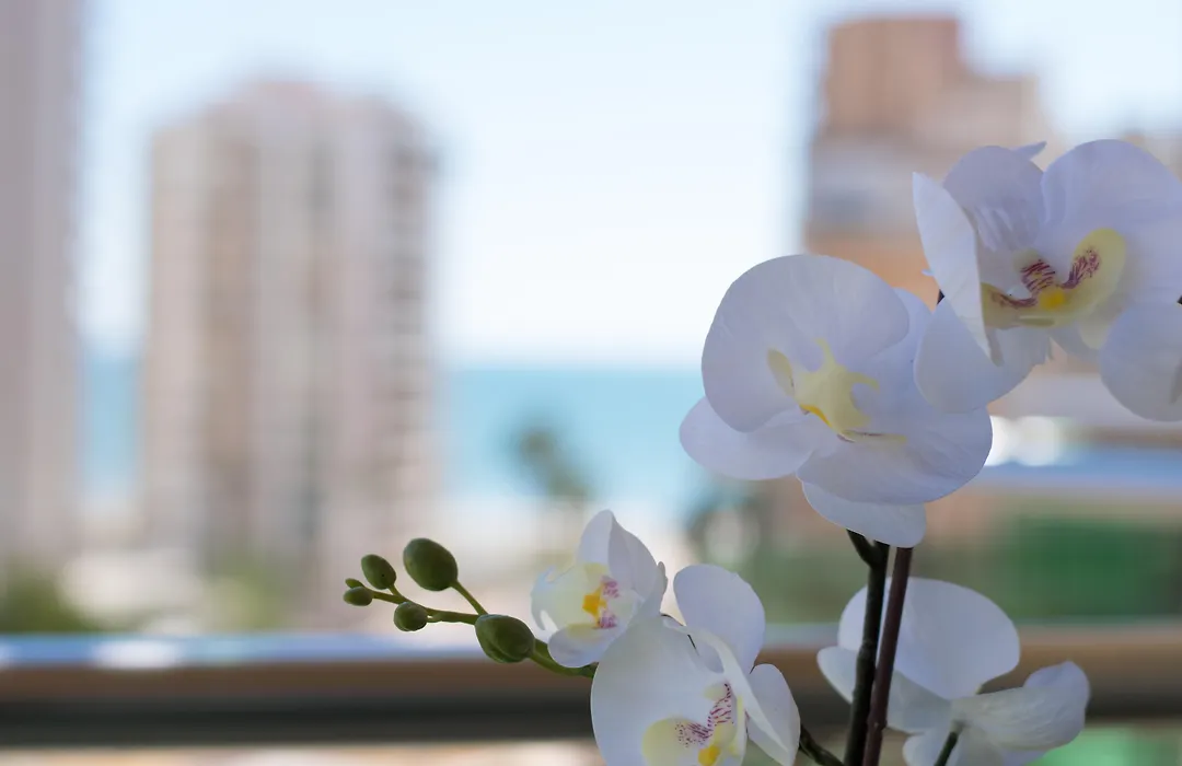 Cullera Holiday-1
